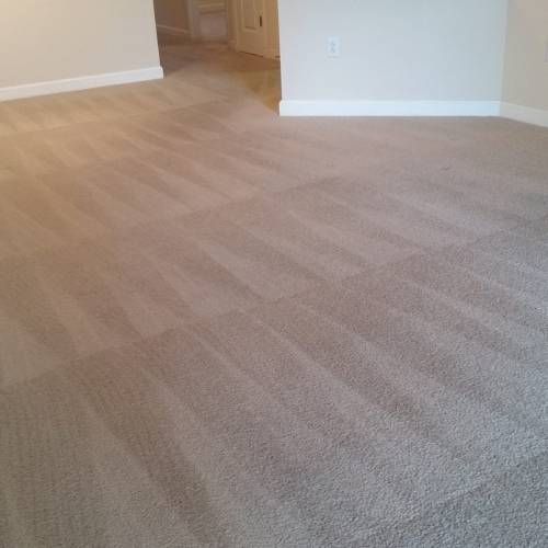 Carpet Cleaning Conway SC Results 2